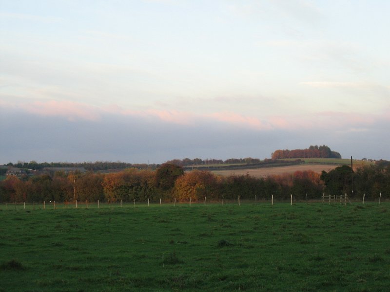 IMG 0316