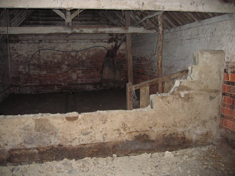 IMG 0376