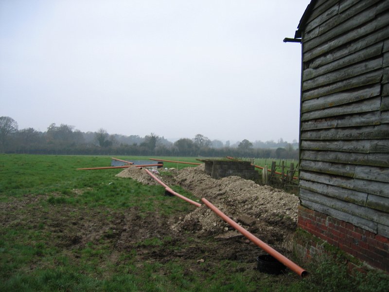IMG 0387