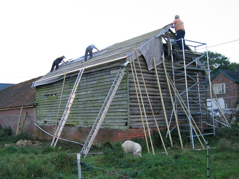 IMG 0534