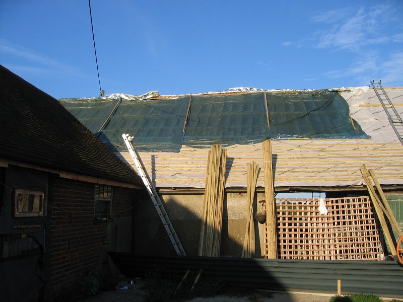 IMG 0805