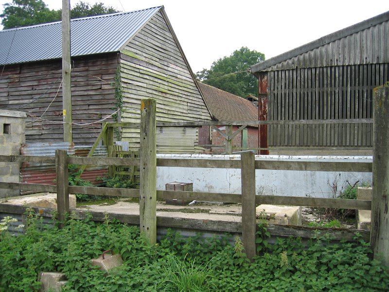 IMG 0029