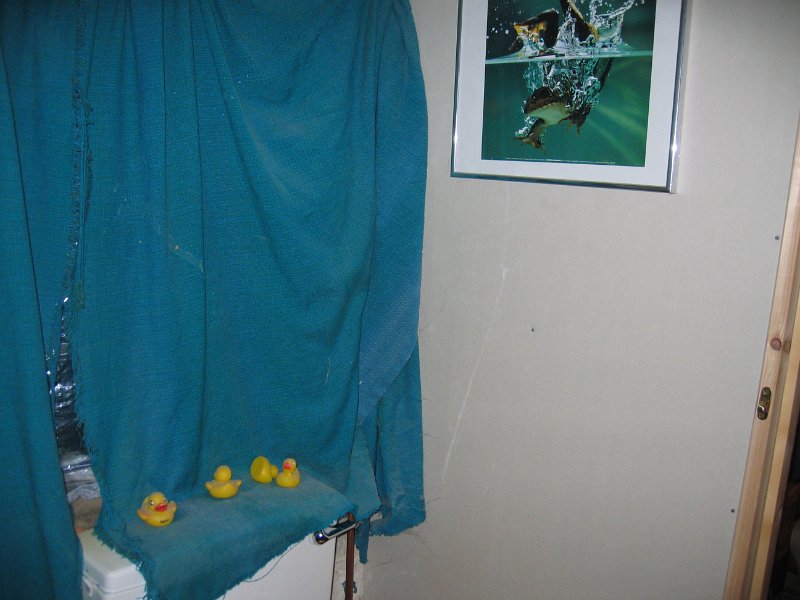 IMG 1003