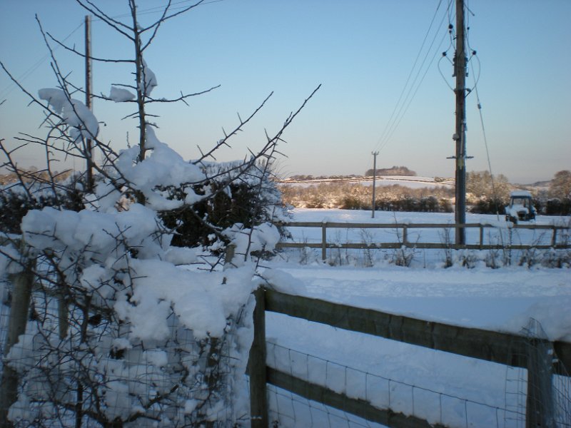 DSCN0768
