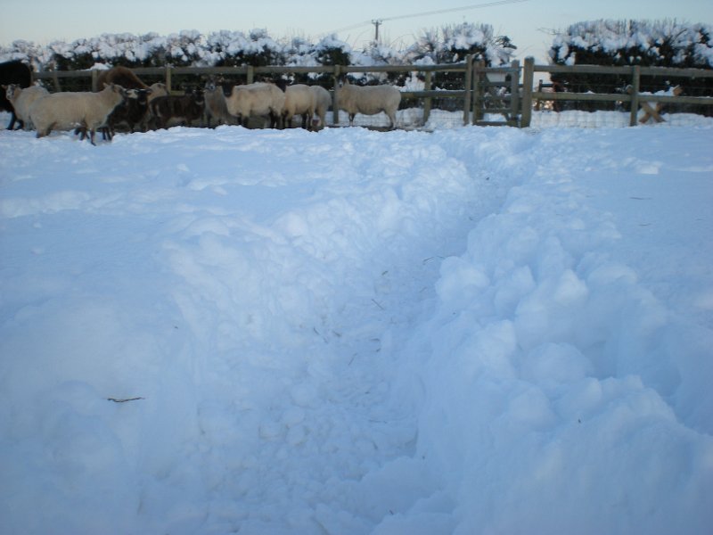 DSCN0777